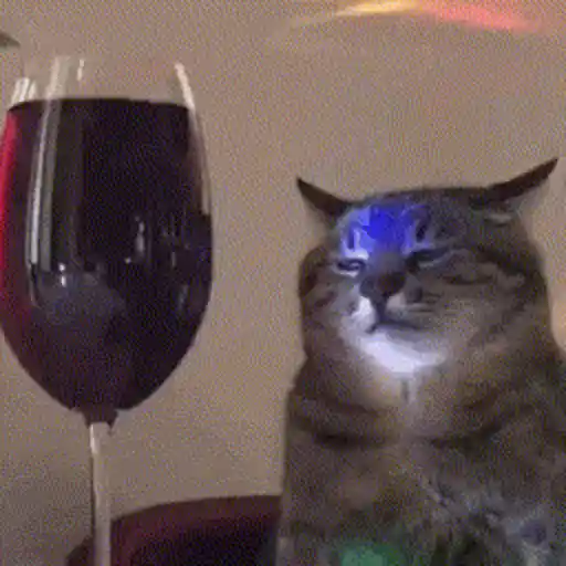 Figurinhas Vinho para whatsapp