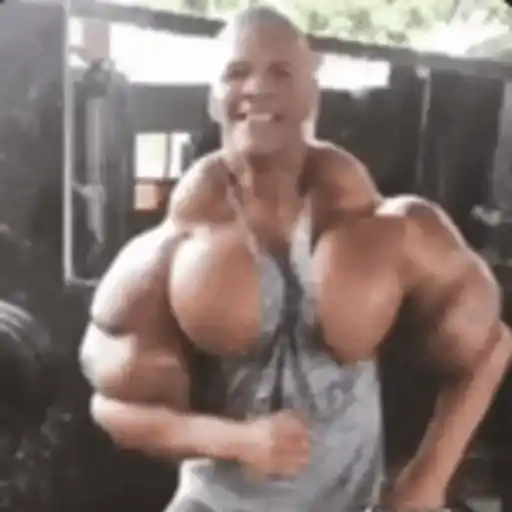 Figurinhas Bombado para whatsapp