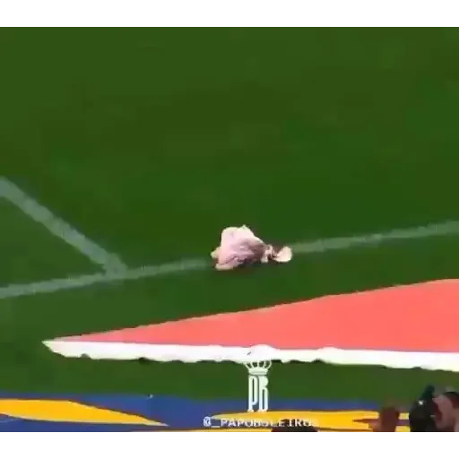 Figurinhas Cabeca de porco para whatsapp