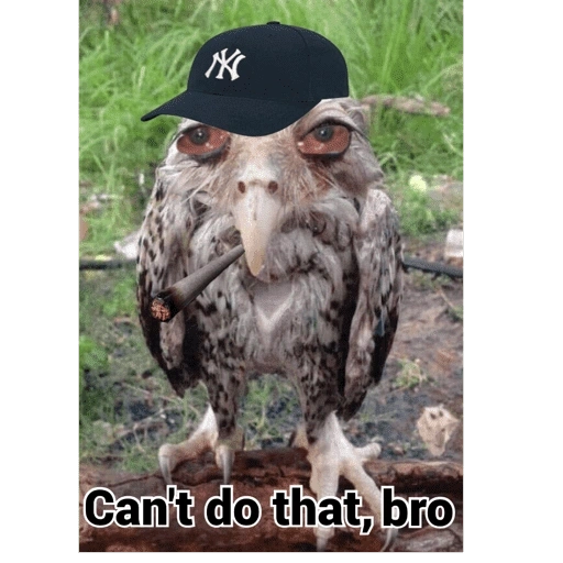 Figurinhas Cant do that bro para whatsapp