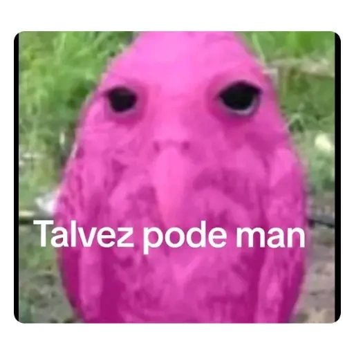 Figurinhas Talvez pode man para whatsapp