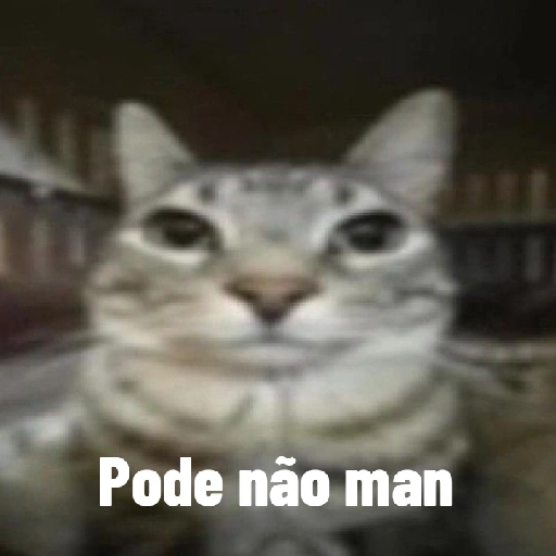 Figurinhas Gato engracado para whatsapp