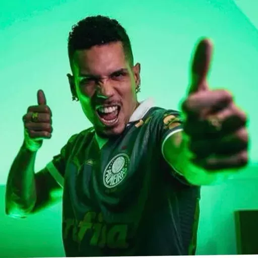 Figurinhas Paulinho para whatsapp