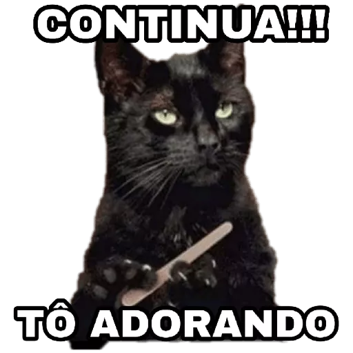 Figurinhas Memes Gatos para whatsapp