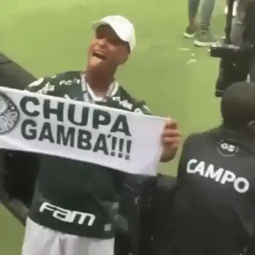 Figurinhas Chupa gamba para whatsapp