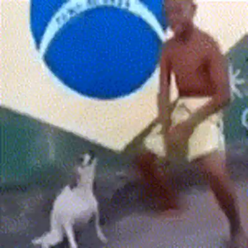 Figurinhas Csf para whatsapp