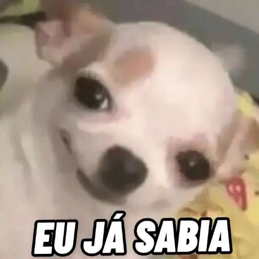 Figurinhas Eu ja sabia para whatsapp