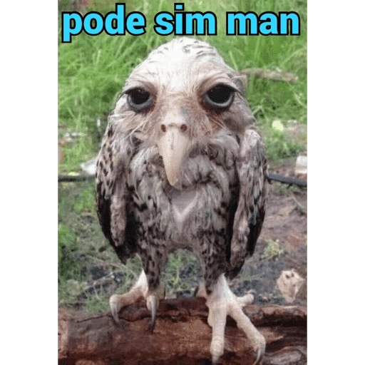 Figurinhas Pode sim man para whatsapp