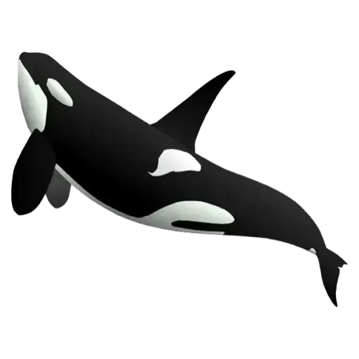 Figurinhas Orca para whatsapp