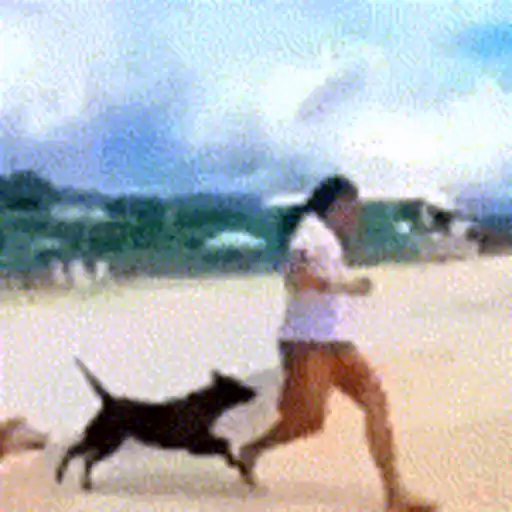 Figurinhas Cachorro para whatsapp