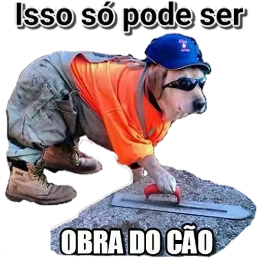 Figurinhas Obra do cao para whatsapp